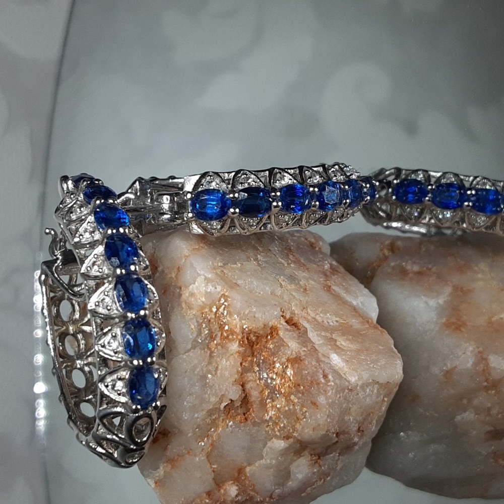 Elegant Silver and Blue Earrings